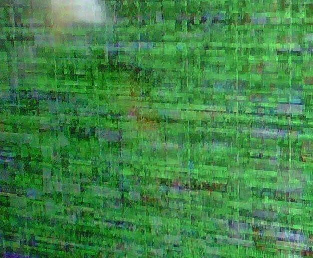 falla de video sony bravia.JPG