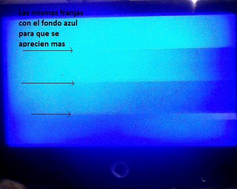 SP_A1012.jpg