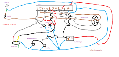 codini acqua 323_opt.png