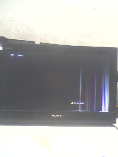 SP_A0258.jpg
