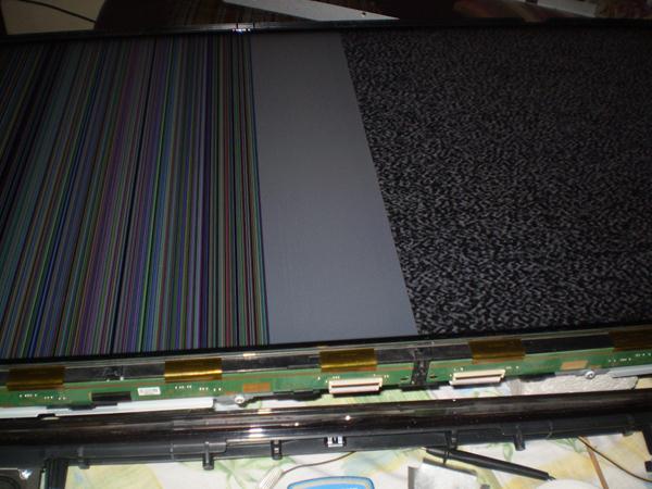 P1012142_600x450.JPG