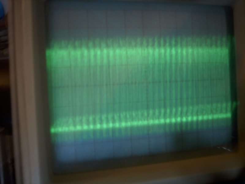 DSCI1363.JPG