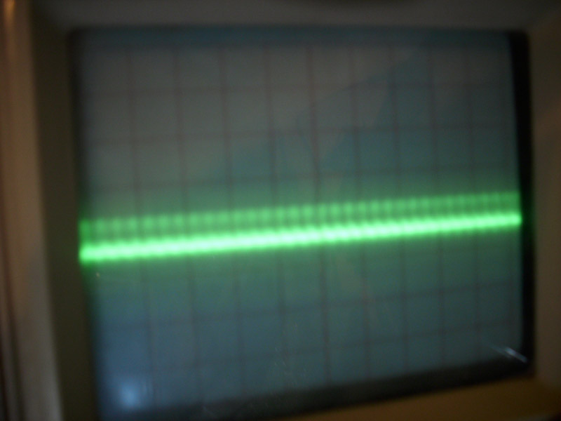 DSCI1366.JPG